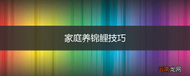 家庭养锦鲤技巧