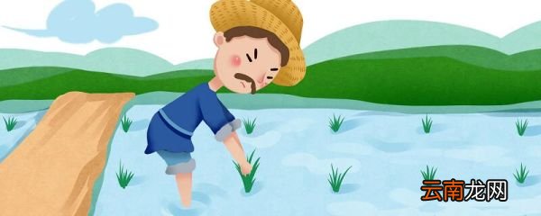 拔苗助长文言文翻译 拔苗助长文言文全文译文
