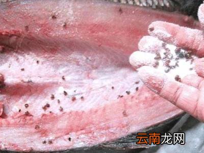 怎样腌鱼没有腥味