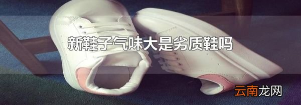 新鞋子气味大是劣质鞋吗