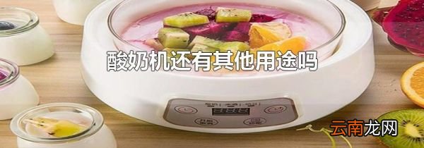 酸奶机还有其他用途吗