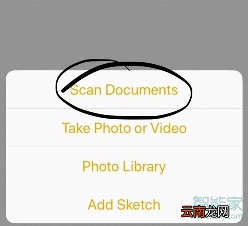 苹果怎么识别图中文字