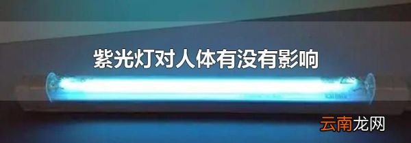 紫光灯对人体有没有影响
