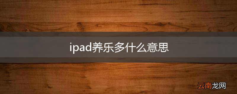 ipad养乐多什么意思