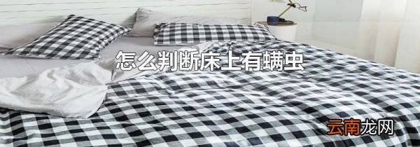 怎么判断床上有螨虫