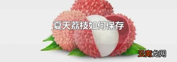 夏天荔枝如何保存