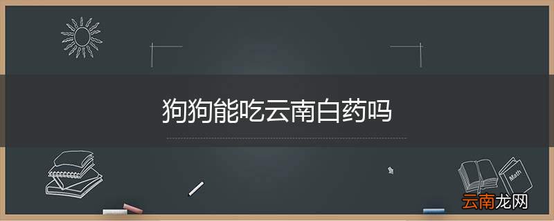 狗狗能吃云南白药吗