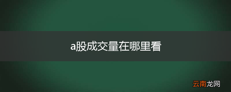 a股成交量在哪里看