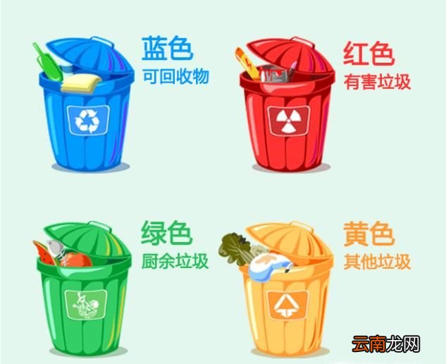 常见垃圾分类有哪些