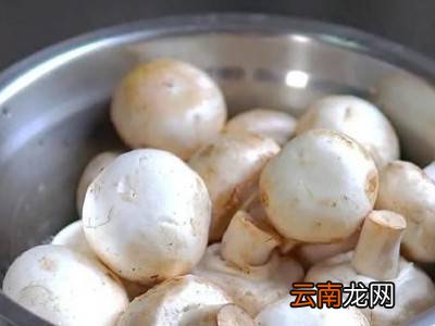 口蘑如何保存