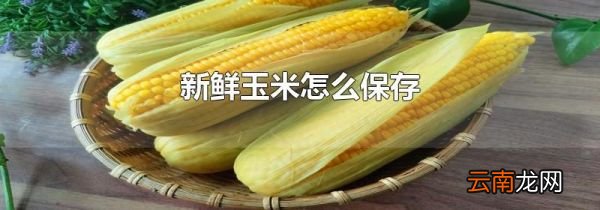 新鲜玉米怎么保存