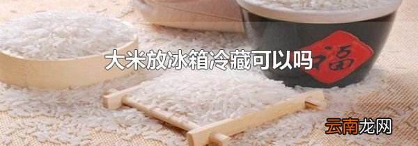 大米放冰箱冷藏可以吗