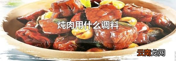 炖肉用什么调料
