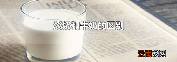 淡奶和牛奶的区别