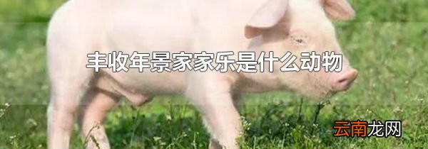 丰收年景家家乐是什么动物
