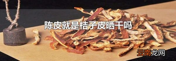 陈皮就是桔子皮晒干吗