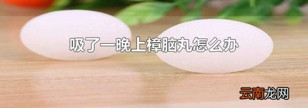 吸了一晚上樟脑丸怎么办