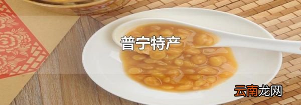 普宁特产