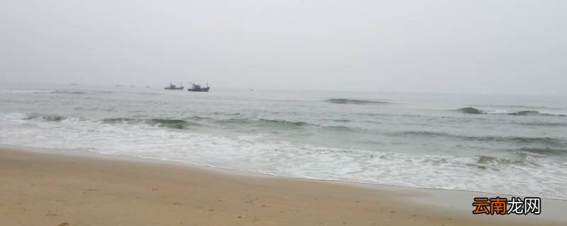 阿拉伯海在哪
