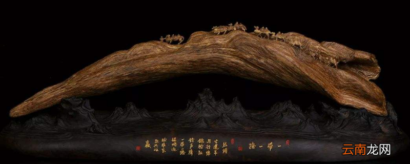 土沉香与沉香区别