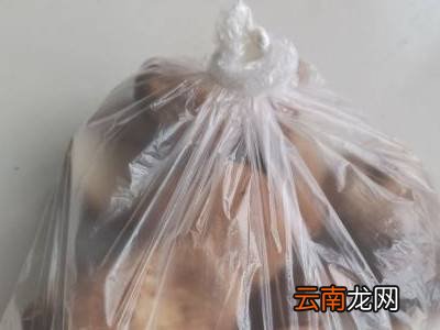 香菇怎么存放