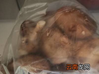 香菇怎么存放
