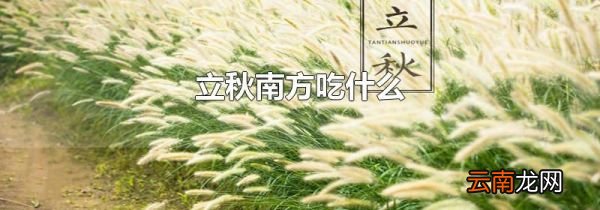 立秋南方吃什么