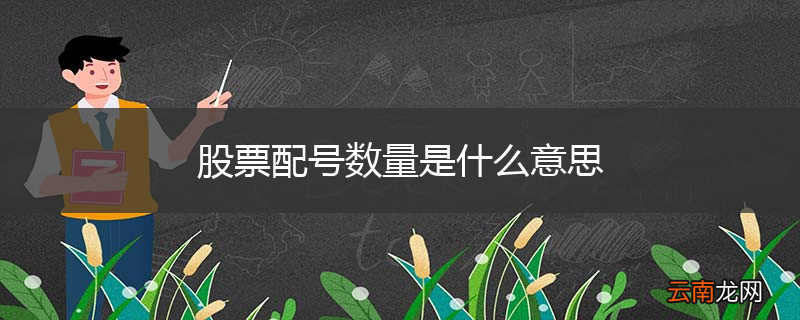 股票配号数量是什么意思