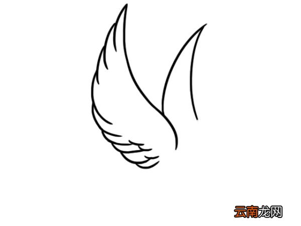 白鸽简笔画三步完成 白鸽简笔画画法
