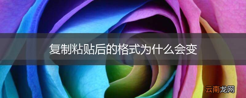 复制粘贴后的格式为什么会变
