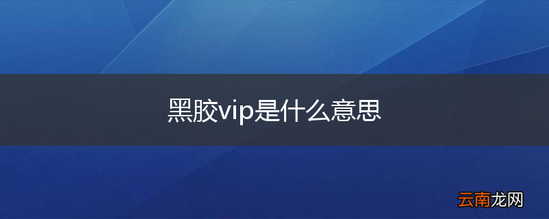 黑胶vip是什么意思