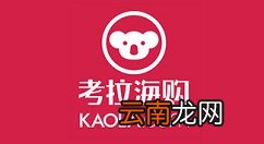 网易考拉更换手机号绑定的方法