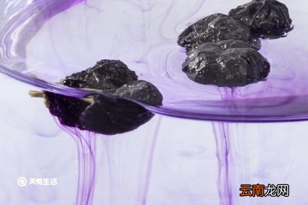 俄罗斯黑果的功效与作用 俄罗斯黑果主要有什么功效