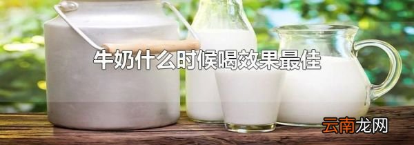 牛奶什么时候喝效果最佳