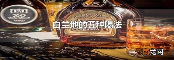 白兰地的五种喝法