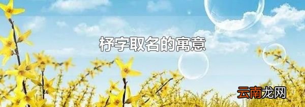 杼字取名的寓意