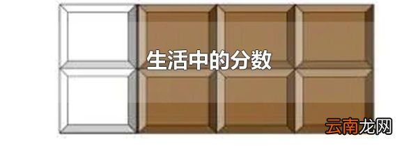 生活中的分数