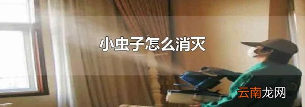小虫子怎么消灭