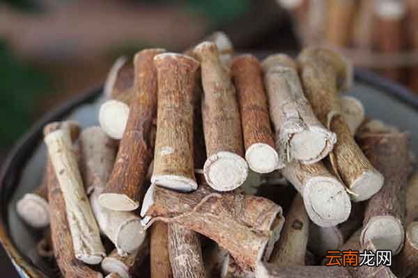 牛奶树根的功效与作用牛奶树根的禁忌人群