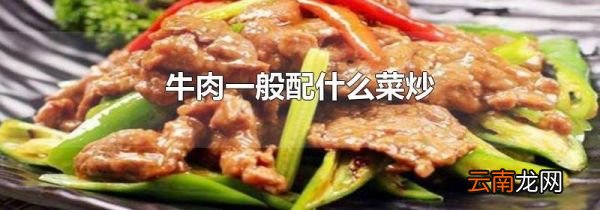 牛肉一般配什么菜炒