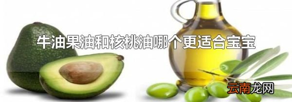 牛油果油和核桃油哪个更适合宝宝