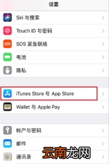 苹果手机appstop怎么设置中文