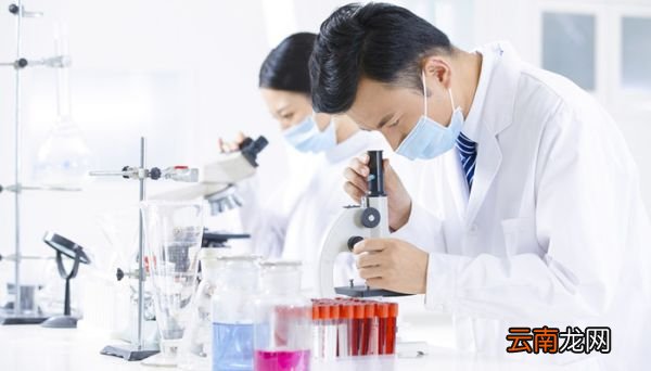 抑制剂和激活剂对酶活性的影响 抑制剂和激活剂对酶活性的影响结果