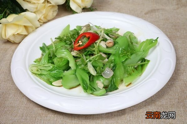 苦芥菜的功效与作用 苦芥菜的食用禁忌