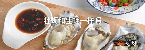 牡蛎和生蚝一样吗