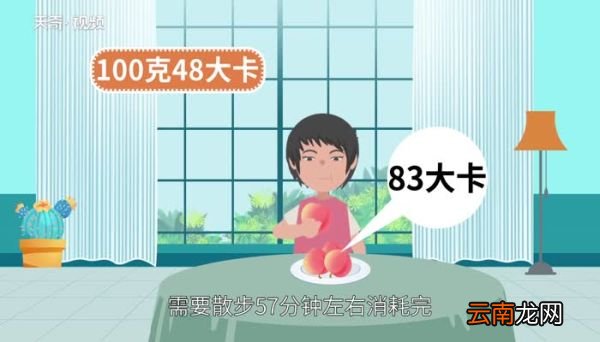 桃子的热量 桃子的热量高吗