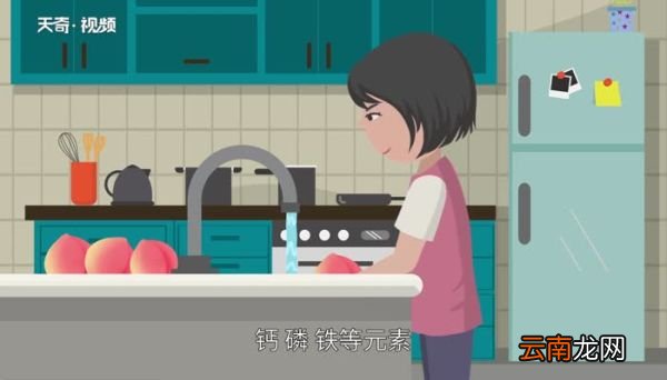 桃子的热量 桃子的热量高吗