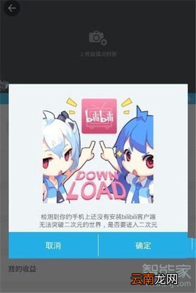 哔哩哔哩直播可以回放吗