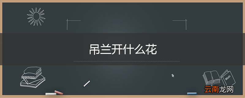 吊兰开什么花