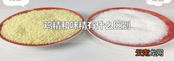 鸡精和味精有什么区别